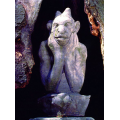 Notre Dame Gargoyle