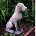 Stone Great Dane Garden Statue - Male.