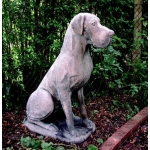 Stone Great Dane Garden Statue - Male.