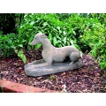 Stone Whippet 